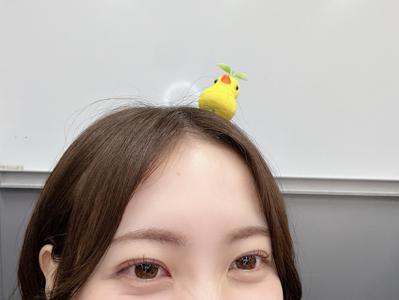 #279 ひよこちゃん - 画像6