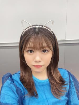  - 画像14
