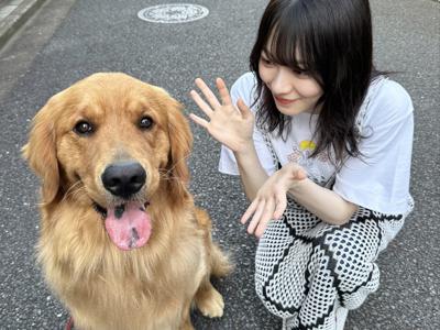 文章を読んでる途中に違うことを考え始めてまた同じ行を読み返す時ありますよね - 画像3