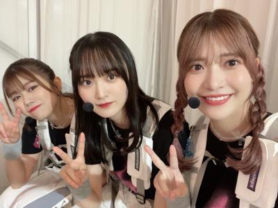 四つ葉のクローバー - 画像9