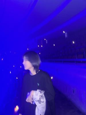  - 画像6