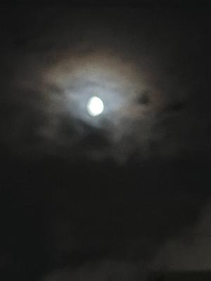  - 画像62