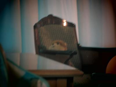 本質的なこと - 画像8
