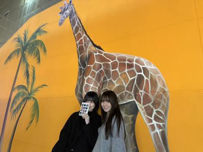 🇰🇷 - 画像8