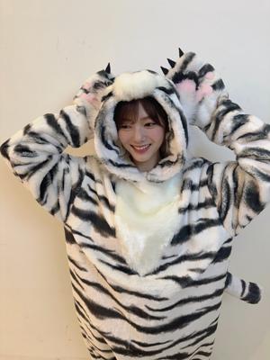 ホワイトタイガー - 画像7