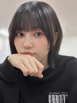  - 画像13