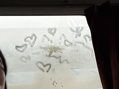  - 画像12