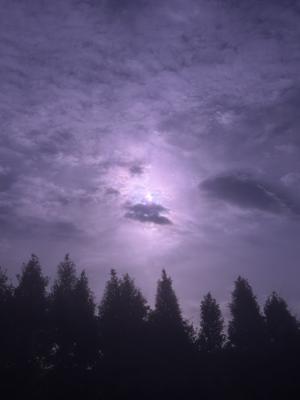  - 画像9