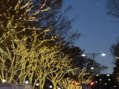 曇りなく - 画像7