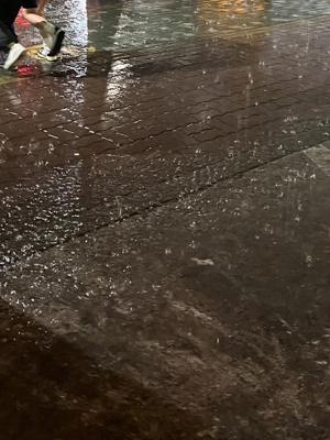 🐉➡︎🐍 - 画像5