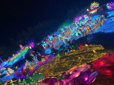 初日の出🐍 - 画像2