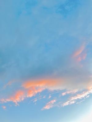 #205. 💐 - 画像2