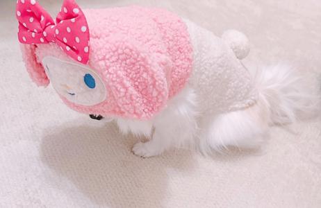 やさしさ - 画像14