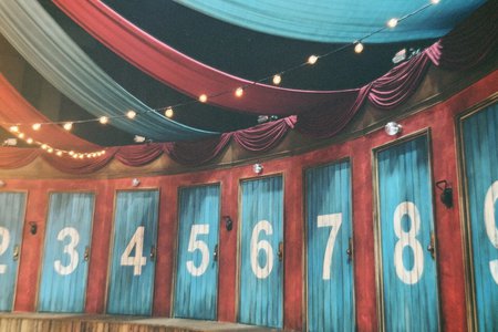 #314 🎪📸 - 画像11