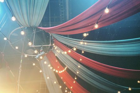 #314 🎪📸 - 画像5