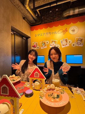 #317 シマエナガちゃん カフェ☕️ - 画像8