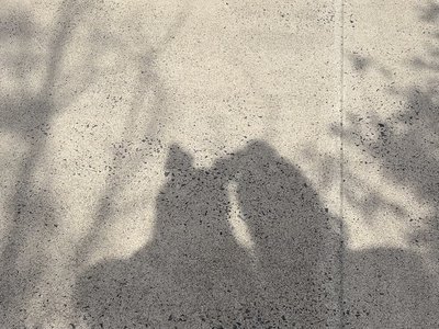 ユニ春 - 画像3