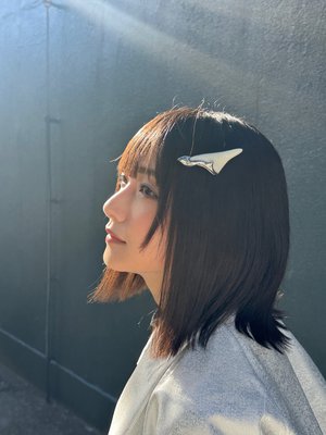  - 画像34