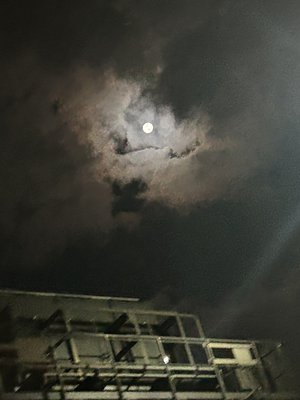  - 画像45