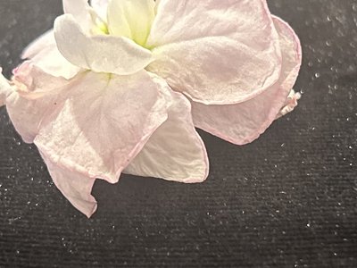  - 画像59