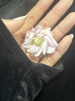  - 画像60