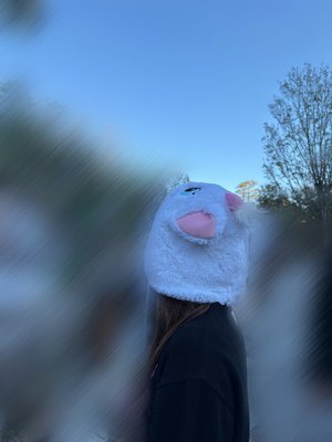 🎀 - 画像6