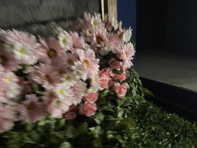 こんばんは - 画像19