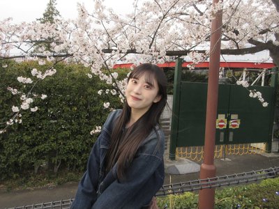 桜 - 画像2