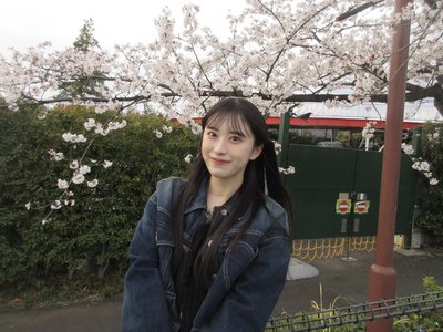 桜 - 画像3