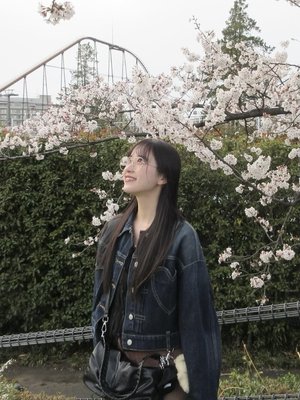 桜 - 画像4