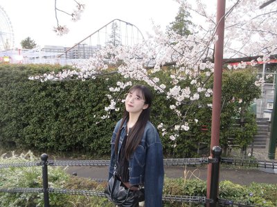 桜 - 画像5