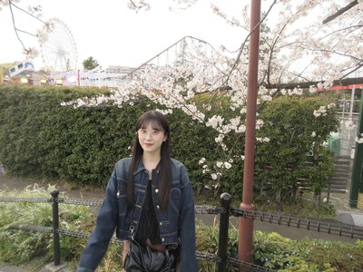桜 - 画像6