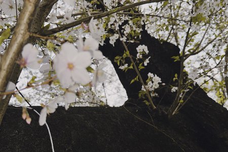 美 - 画像12