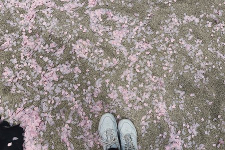 Addiction - 画像13