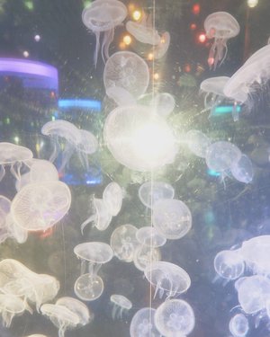 #271. ミーグリ受付始まったよ💬♡ - 画像2