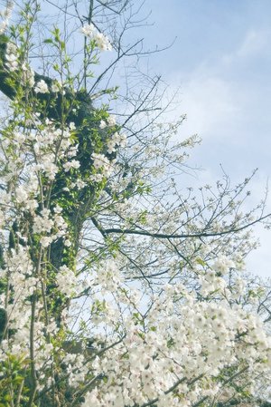 #278. 景色のないトンネルは - 画像2