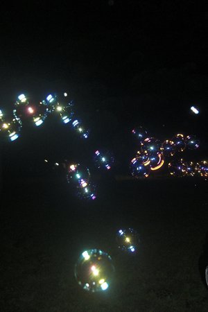 ‪‪☺︎‬ - 画像4