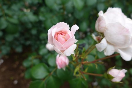 ‪‪☺︎‬ - 画像5