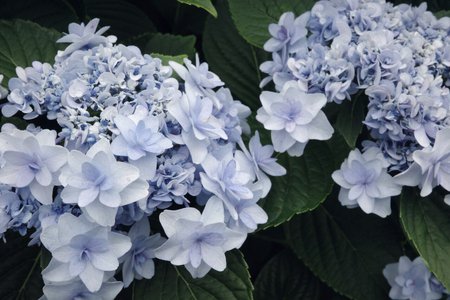 あいち！フクオカ！広島！ - 画像2