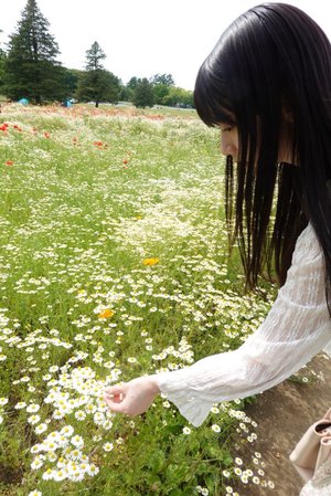 お花畑、144 - 画像5