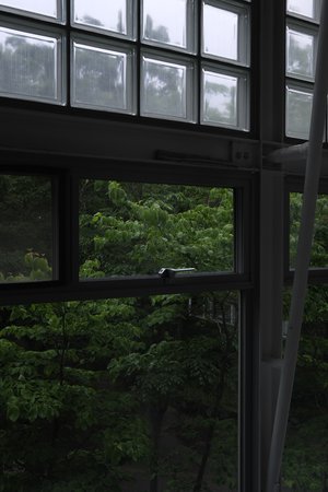 人は本能で動くだけ - 画像6