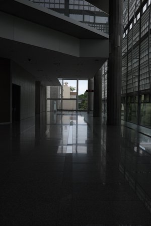 人は本能で動くだけ - 画像7