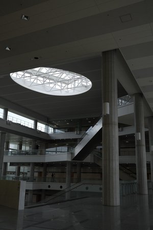 人は本能で動くだけ - 画像8