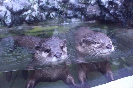 今日暑すぎました - 画像6