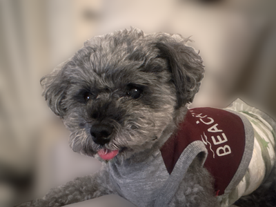 美しい青 - 画像12