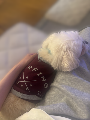 美しい青 - 画像13