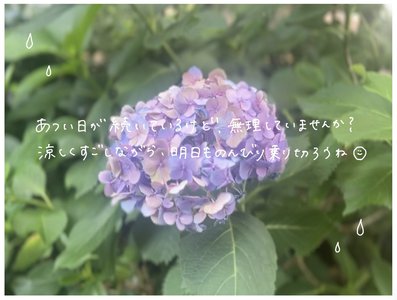 リボンのブラウス　山川宇衣 - 画像5