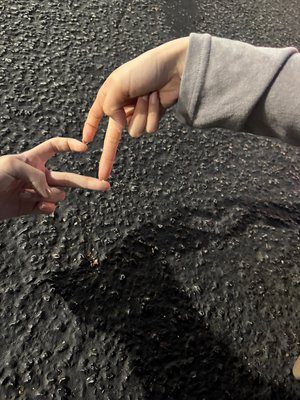 ロサンゼルス - 画像18