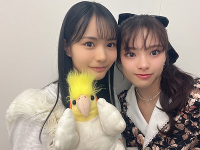 #311. かわい子ちゃんたち - 画像3