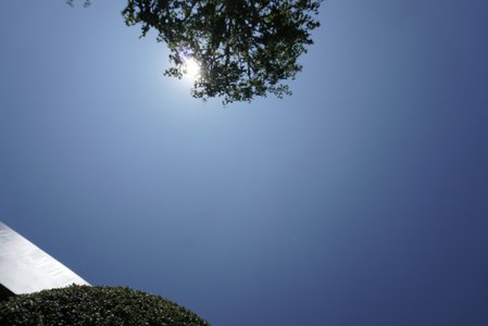 人見知りでもさ、だからさ - 画像8